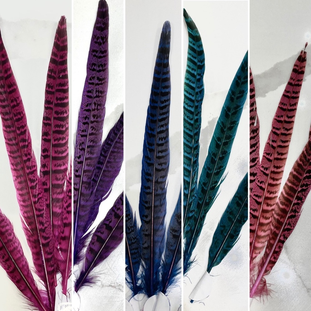 Feathers
